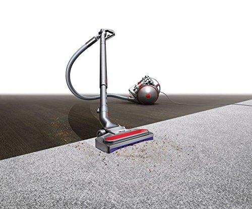 Dyson Cinetic Big Ball Absolute 2 Aspiradora, 700 W, 0.8 litros, 80 Decibelios, Níquel, Rojo