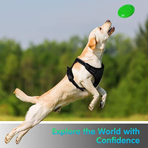 Eagloo Arnes de Perro Antitirones Cómodo Chaleco Ajustable Correa al Cuello y Pecho para Perros Labrador Material Duradero Transpirable con Cinta Reflectante Adaptarse a Ejercer Externo XL/Negro