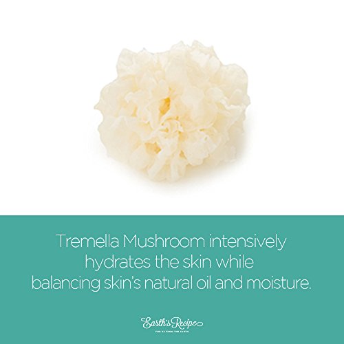 Earth's Recipe Energy Boosting Toner with Tremella Mushroom - Moisturizing Toner, 160ml