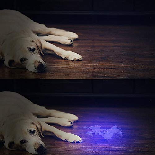 EasyULT Linterna UV 365nm, Lámpara de Mano Ultravioleta, Detector Ultravioleta para Detectar Orina de Mascotas en Alfombra