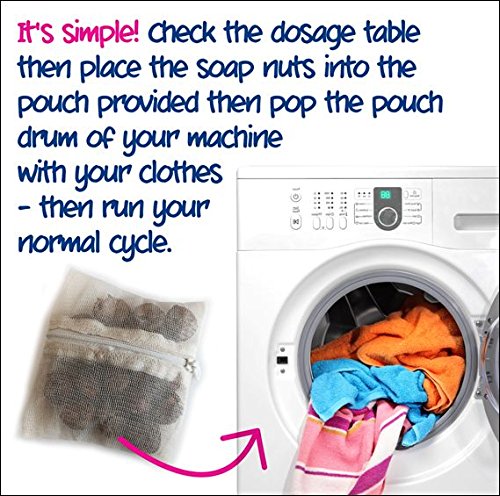 Ecozone - Nueces de jabon para lavar la ropa (bolsa de 1 kg, hasta 330 lavados)