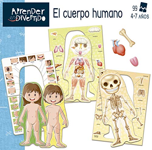 Educa- Aprendo Aprender es Divertido El Cuerpo Humano, Juego educativo para niños, a partir de 4 años (18701) , color/modelo surtido
