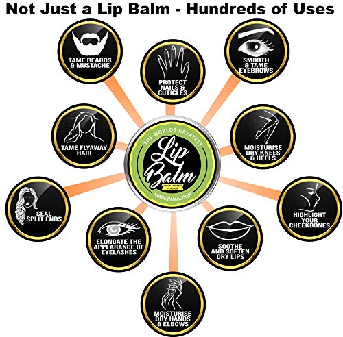 El bálsamo labial más grande del mundo (2 x 15 ml). Reparar, curar, proteger, hidratar. Sabor de sorbete de limón con manteca de karité, cera de abejas, aceite de jojoba, aceite de cáñamo