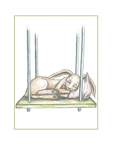 El conejito que quiere dormirse: Un nuevo método para ayudar a los niños a dormir (Libros para leer antes de dormir)