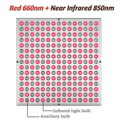 El Equipo De La Terapia De La Luz Roja del Cuerpo Humano De La Luz Infrarroja, Se Puede Utilizar para La Piel De La Cara Y del Cuerpo (Size : A)