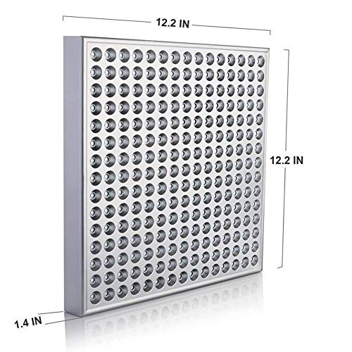 El Equipo De La Terapia De La Luz Roja del Cuerpo Humano De La Luz Infrarroja, Se Puede Utilizar para La Piel De La Cara Y del Cuerpo (Size : A)
