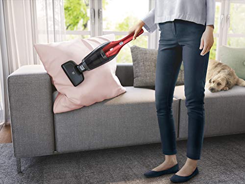Electrolux EER7ANIMAL Sin bolsa Negro, Rojo 0,5 L - Aspiradora escoba (Sin bolsa, Negro, Rojo, 0,5 L, Secar, Filtrado, 79 dB)