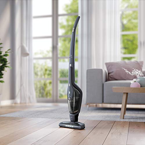 Electrolux Ergorapido - Aspiradora sin bolsa (de plástico, CE, secar, ciclónico), Azul