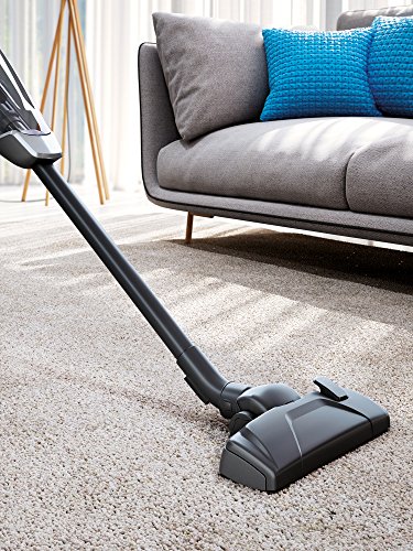 Electrolux - Escoba con Cable sin Bolsa, Filtro con 3 Rejillas de Salida, Hygiene Filter 11 Blanco 123x27x28cm