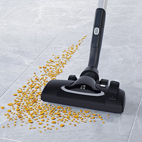 Electrolux EUO9GREEN 850 W - Aspiradora (850 W, 26,8 kWh, Aspiradora cilíndrica, Bolsa para el Polvo, 5 L, Negro, Verde)