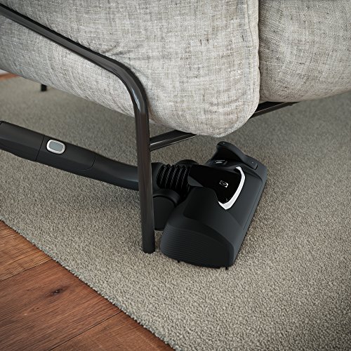 Electrolux EUO9GREEN 850 W - Aspiradora (850 W, 26,8 kWh, Aspiradora cilíndrica, Bolsa para el Polvo, 5 L, Negro, Verde)