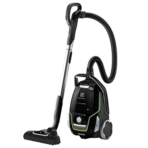 Electrolux EUO9GREEN 850 W - Aspiradora (850 W, 26,8 kWh, Aspiradora cilíndrica, Bolsa para el Polvo, 5 L, Negro, Verde)