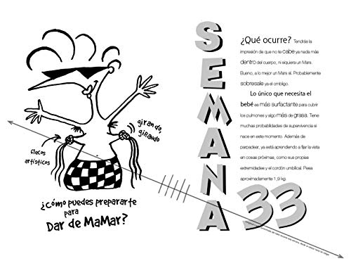 Embarazada: La guía indispensable para madres primerizas (Libro práctico)