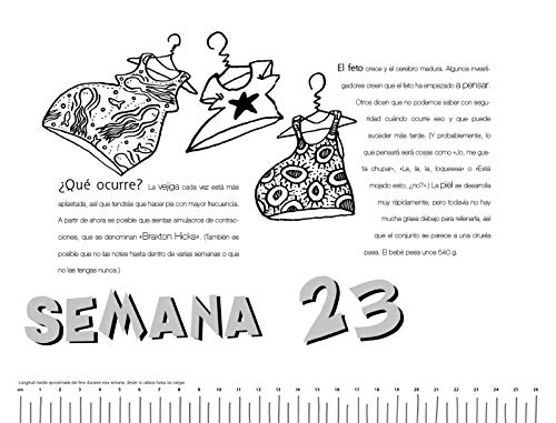 Embarazada: La guía indispensable para madres primerizas (Libro práctico)