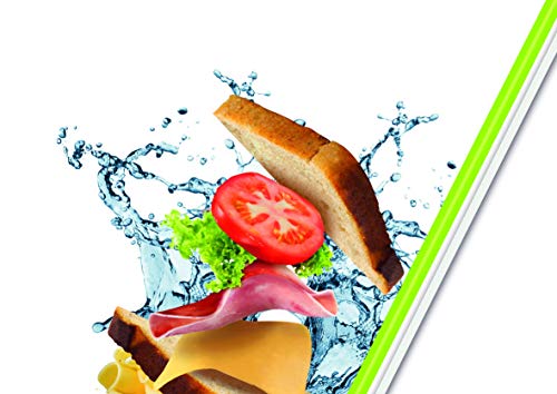 Emsa Clip&Go Snack - Recipiente hermético de plástico con 2 compartimentos totalmente hermético y libre de BPA, rectangular, 0,55L