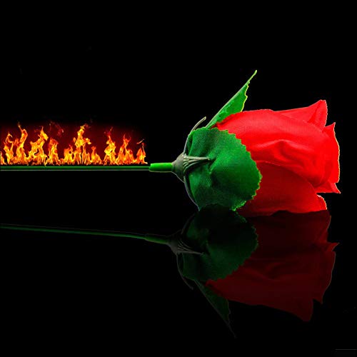 Enjoyer Torch to Rose-Fire Magic Trick Flaming Apareciendo Flor Mago Profesional Atrezzo Mentalismo Truco Mágico, 10 Unids / Lote