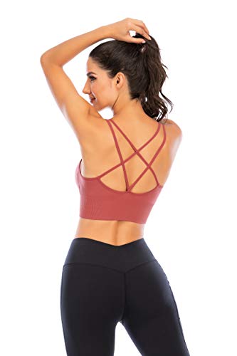 Enjoyoself Sujetador Deportivos 1-3 Pack Yoga Jogging Lencería Sujetador Acolchado Ropa Interior Deportiva Push Up Brassiere Elástico Almohadillas Extraíbles