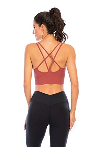Enjoyoself Sujetador Deportivos 1-3 Pack Yoga Jogging Lencería Sujetador Acolchado Ropa Interior Deportiva Push Up Brassiere Elástico Almohadillas Extraíbles