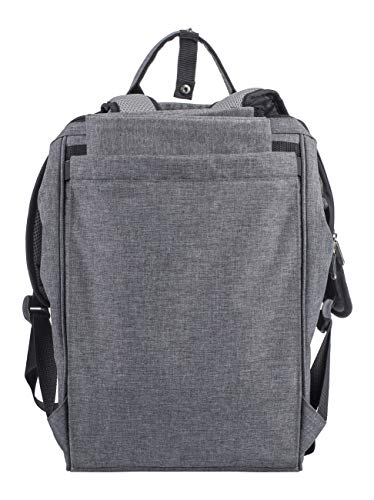 Eono by Amazon - Bolsa para refrigerador con mochila para picnic, 2 personas, juego de vajilla y manta