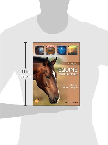 Equine Ophthalmology