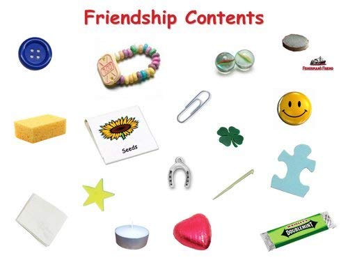 Equipo de supervivencia de la amistad en una lata. La novedad del regalo de la diversión para un amigo especial. El mejor amigo tarjeta y presente todo en uno. Cumpleaños, la Navidad, porque sí. Modifique su color Can. (Púrpura / lila)