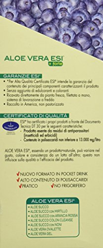 ESI Aloe Vera Zumo +Forte Mirtilo - 24 Unidades