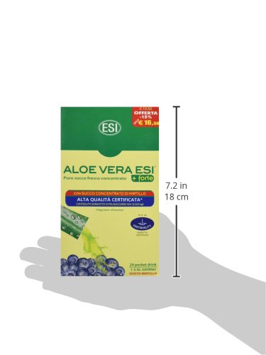 ESI Aloe Vera Zumo +Forte Mirtilo - 24 Unidades