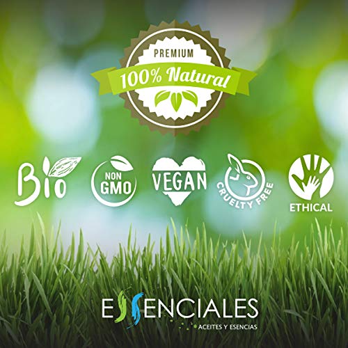 Essenciales - Aceite Macerado de Zanahoria Bio, 100% Natural Ecológico, 100 ml | Macerado Daucus Carota