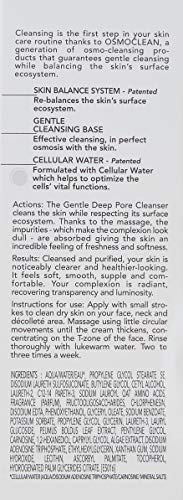 Esthederm Osmoclean Gentle Deep Pore Cleanser 75ml