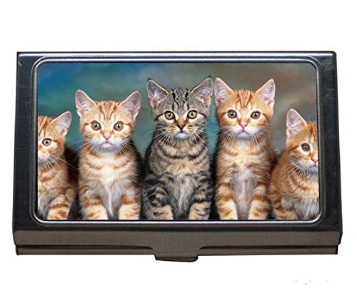 Estuche para tarjetas de visita de acero inoxidable, gatito lindo con tarjeta de visita para hombres y mujeres