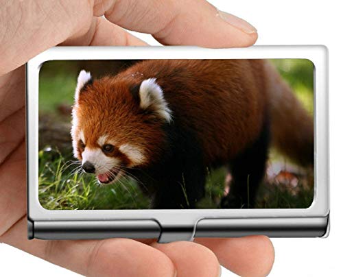 Estuche para tarjetas de visita, juguetes Panda gigante Estuche para tarjetas de visita con soporte para tarjetas de visita (acero inoxidable)
