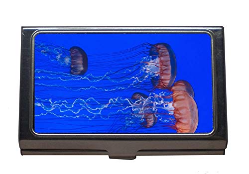 Estuche profesional para tarjetas de visita, acuario azul, portatarjetas de acero inoxidable