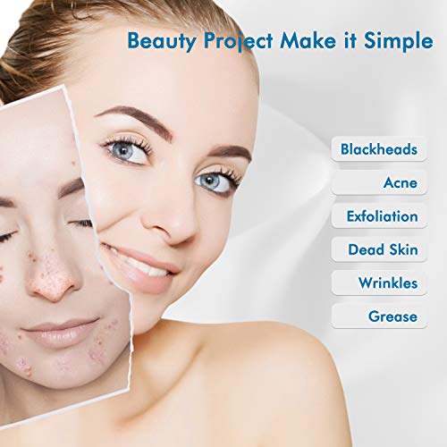 ETEPON Limpiador de Poros, Succionador de Puntos Negros con 5 Cabezales de Succión Reemplazables EJHF-15