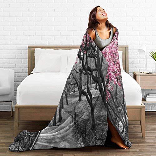 Etryrt Manta, Black Rose Gold Eyelashes Welcome Lanzar Manta Ultra Soft Manta de sofá Bed Blanket Quilt Durable Home Decor Fleece Blanket Sofa Blanket Luxurious Carpet for Men Women Kids