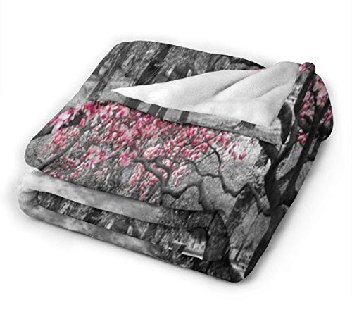 Etryrt Manta, Black Rose Gold Eyelashes Welcome Lanzar Manta Ultra Soft Manta de sofá Bed Blanket Quilt Durable Home Decor Fleece Blanket Sofa Blanket Luxurious Carpet for Men Women Kids