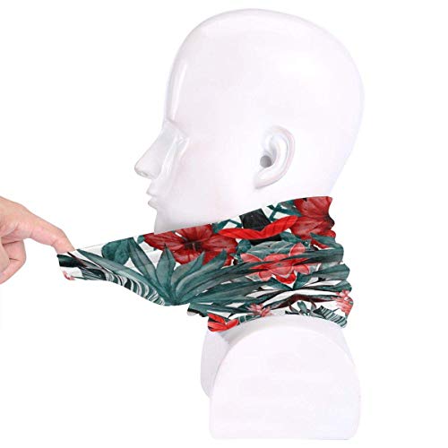 Ewtretr Tropical Birds Palm Leaves Neck Gaiter Warmer Hombres Mujeres Warm Windproof Circle Loop Scarves