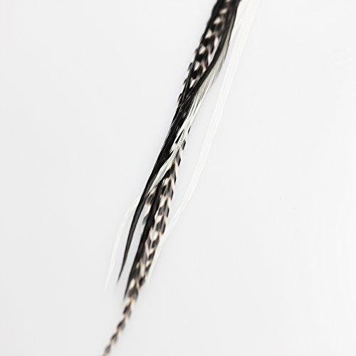Extensiones de pelo de pluma tipo cebra de SEXY SPARKLES con una longitud de 15 - 28 cm, extensiones de pelo con calidad de peluquería, con plumas de gallo americano en blanco y negro