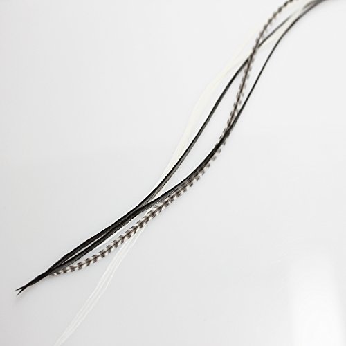 Extensiones de pelo de pluma tipo cebra de SEXY SPARKLES con una longitud de 15 - 28 cm, extensiones de pelo con calidad de peluquería, con plumas de gallo americano en blanco y negro