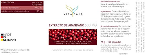 Extracto de Arándano - 1000 mg por Porción - 120 Cápsulas - 25% de Proantocianidinas Naturales - Vegano - Máxima Biodisponibilidad - German Quality