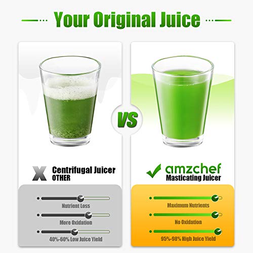 Extractor de zumo AMZCHEF Licuadora Prensado en Frio Licuadoras para verduras y frutas Máquina de Jugo Slow Juicer |Función Inversa/Motor Silencioso/cepillo limpieza/Taza de jugo Sin BPA