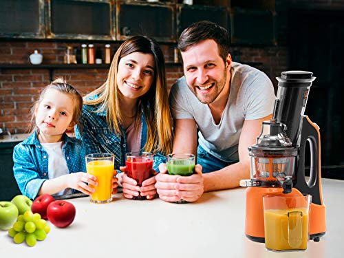 Extractor de zumo OURSSON Licuadora Prensado en Frio Licuadoras para verduras y frutas | Máquina de Jugo | Slow Juicer | Función Inversa | Motor Silencioso | Cepillo limpieza | Taza de jugo | Sin BPA