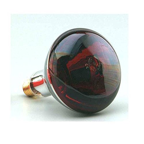 F-bright Lámpara infrarroja. E27, 250 W, Rojo, 12.5 cm