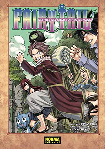 Fairy Tail Después del gran torneo de la magia (novela)