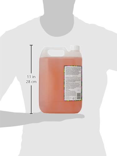 Faith in Nature Champú Natural de Lavanda y Geranio, Nutritivo, Vegano y No Testado en Animales, sin Parabenos ni SLS, para Cabello de Normal a Seco, Recarga de 5 l