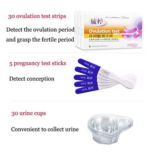 Fall Pruebas de Ovulación, Kit de Prueba de ovulación Digital, 30 x Prueba de Ovulación Sticks + 30 Copas de orina, palitos de Fertilidad de Prueba Predictor sensibles