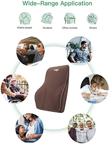 Feagar Repaldo Lumbar para Silla Oficina, Cojin Lumbar Coche con Esponja Memoria, Almohada Lumbar, Soporte Lumbar Coche, Apoyo a la Espalda
