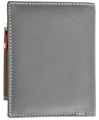 Felda - Cartera para Mujer - con Bloqueo de transmisiones RFID, Ranuras para Tarjetas y portamonedas - Cuero auténtico - Marrón grisáceo/Multicolor