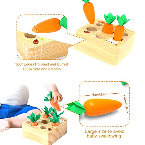 Felly Juguetes Bebes 1 Año, Rompecabezas Juegos de Madera Zanahorias Clasificación, Juguetes Montessori Educativo Temprano para Niños y Bebés de 1 2 3 años, Regalo de cumpleaños, Navidad