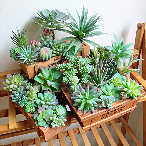 FEPITO 15 piezas artificiales plantas suculentas verde sin manchas Faux Flower Succulents Mini Echeveria selecciones a granel tallos para el hogar decoración interior de hadas del jardín