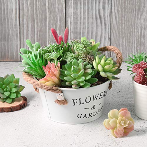 FEPITO 15 piezas artificiales plantas suculentas verde sin manchas Faux Flower Succulents Mini Echeveria selecciones a granel tallos para el hogar decoración interior de hadas del jardín